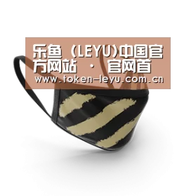 成人布口罩