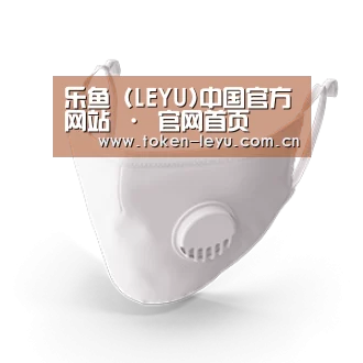 N95 口罩
