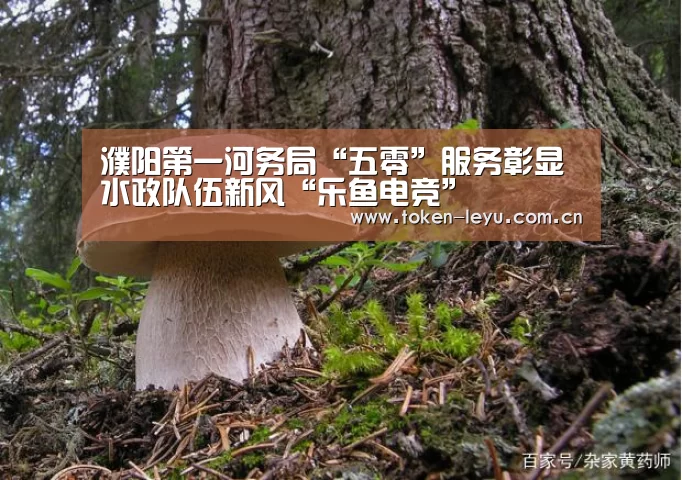 乐鱼体育登录入口