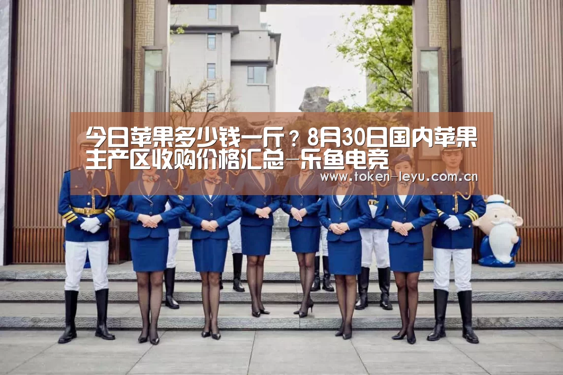 乐鱼电竞官网