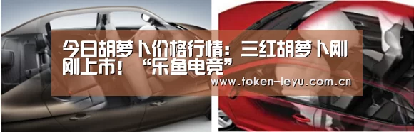 乐鱼电竞