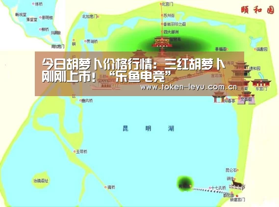 乐鱼体育登录入口