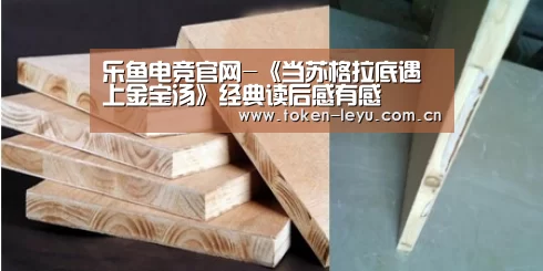 乐鱼电竞