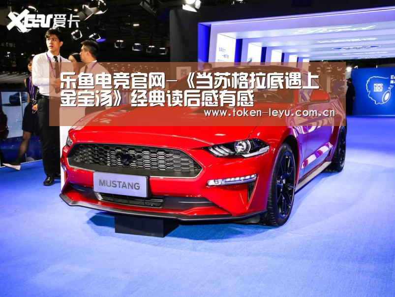 乐鱼体育登录入口
