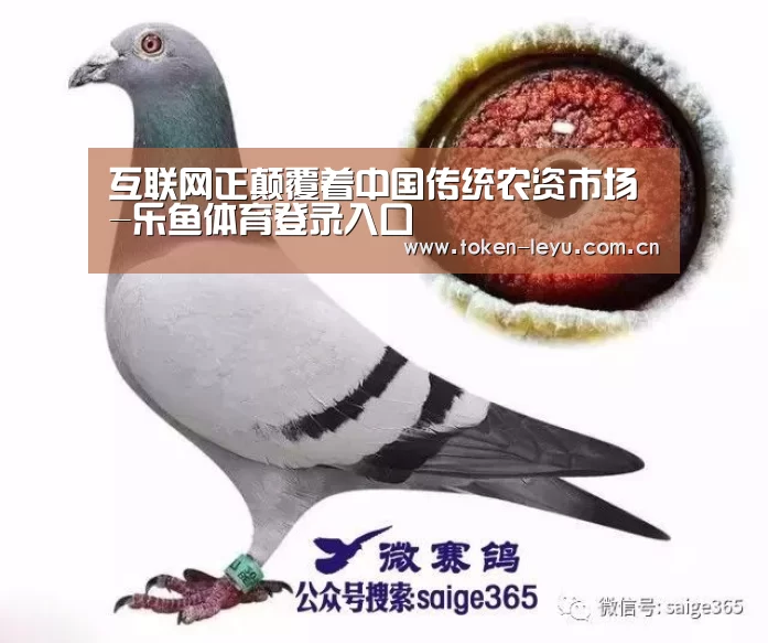 乐鱼电竞