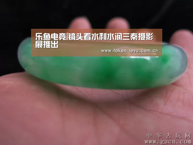 乐鱼电竞官网