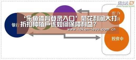 ‘乐鱼体育登录入口’菊花利润大打折扣种植户该如何保障利益?(图4) 乐鱼电竞