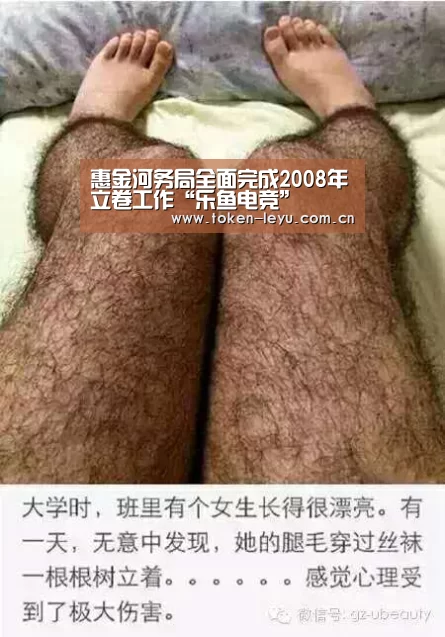 惠金河务局全面完成2008年立卷工作“乐鱼电竞”(图1) 乐鱼电竞leyu