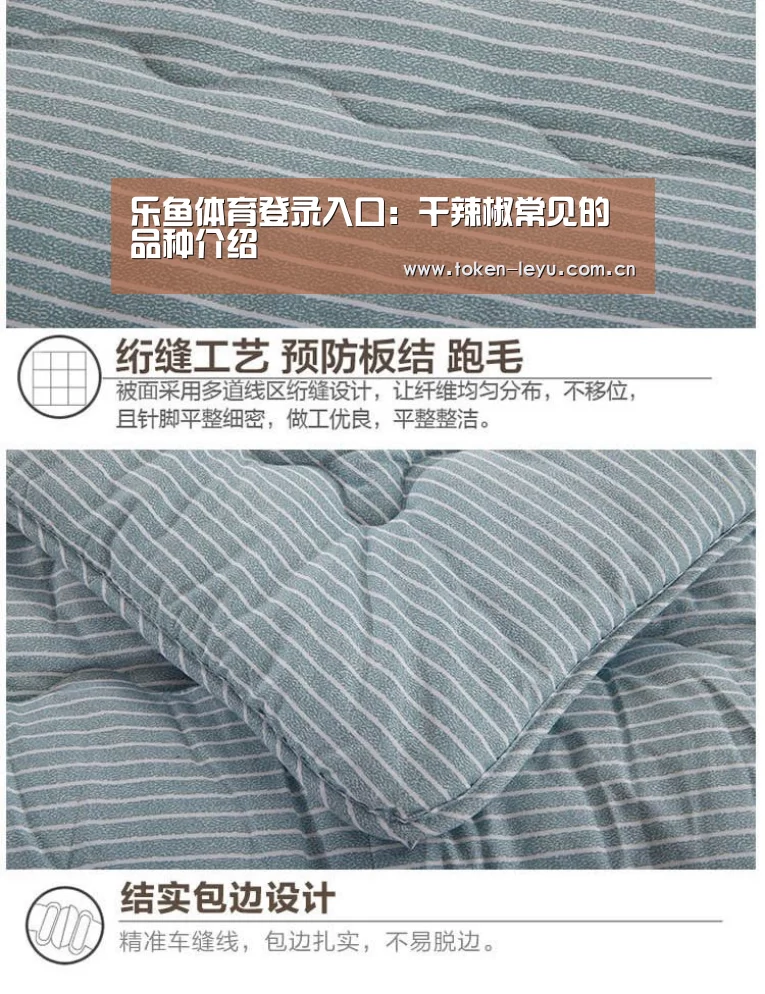 乐鱼电竞leyu