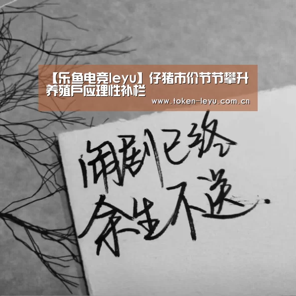 【乐鱼电竞leyu】仔猪市价节节攀升养殖户应理性补栏(图1) 乐鱼体育登录入口
