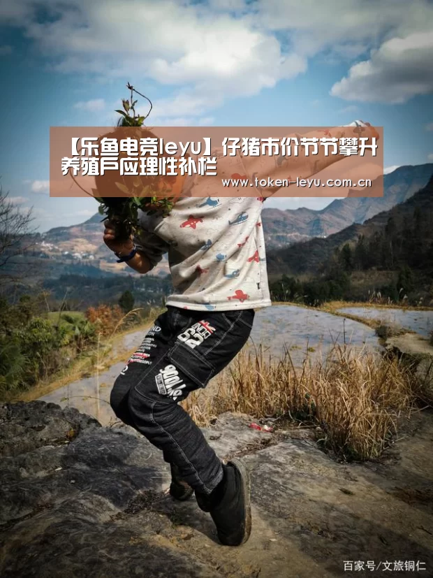 【乐鱼电竞leyu】仔猪市价节节攀升养殖户应理性补栏(图3) 乐鱼电竞官网